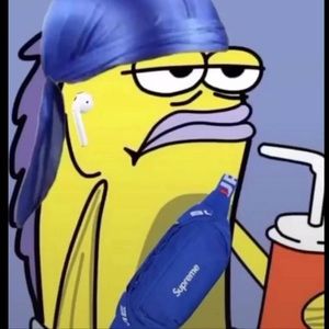 Meet your Posher, Nyla